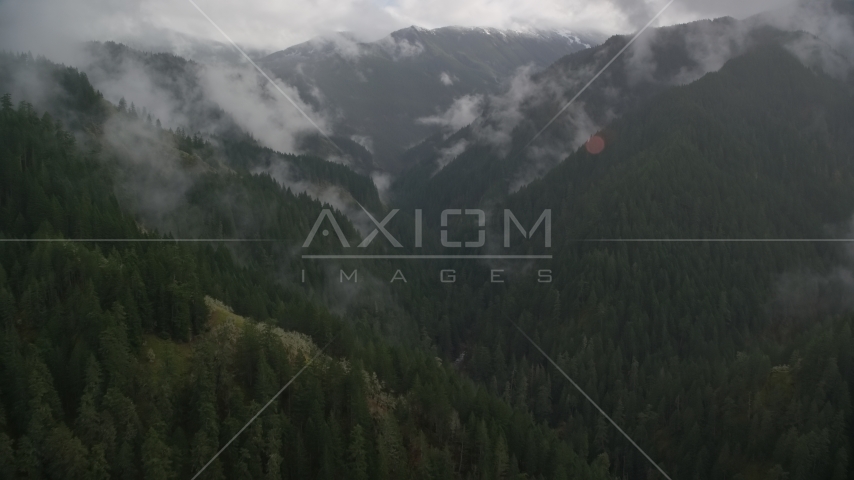 Eagle Creek Trail through a canyon with misty clouds, Cascade Range, Hood River County, Oregon Aerial Stock Photos AX154_049.0000296F