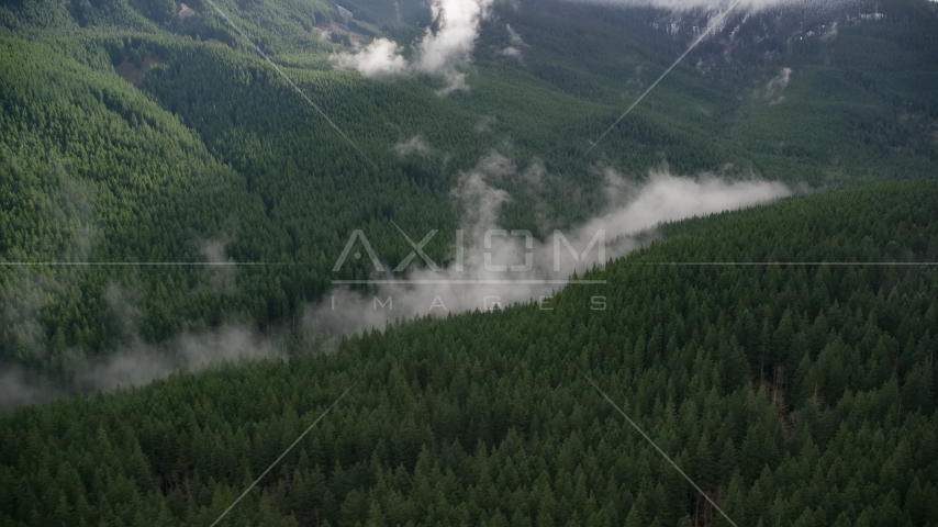 An evergreen forest with clouds of mist in the Cascade Range, Hood River County, Oregon Aerial Stock Photos AX154_055.0000298F