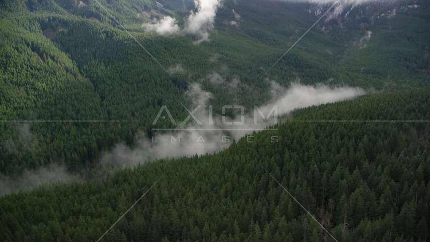 Mist hanging over evergreen trees at the bottom of a canyon in the Cascade Range, Hood River County, Oregon Aerial Stock Photos AX154_056.0000000F | Axiom Images
