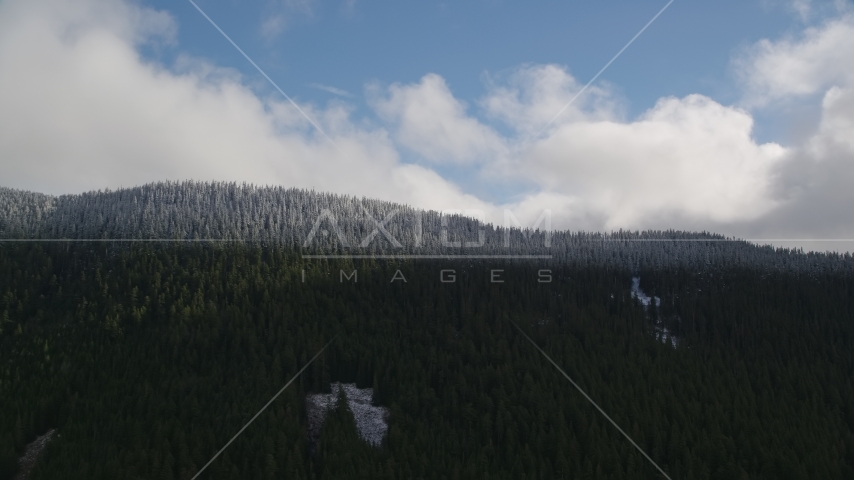 The snow line and snowy evergreen trees atop a mountain ridge, Cascade Range, Hood River County, Oregon Aerial Stock Photo AX154_058.0000000F | Axiom Images