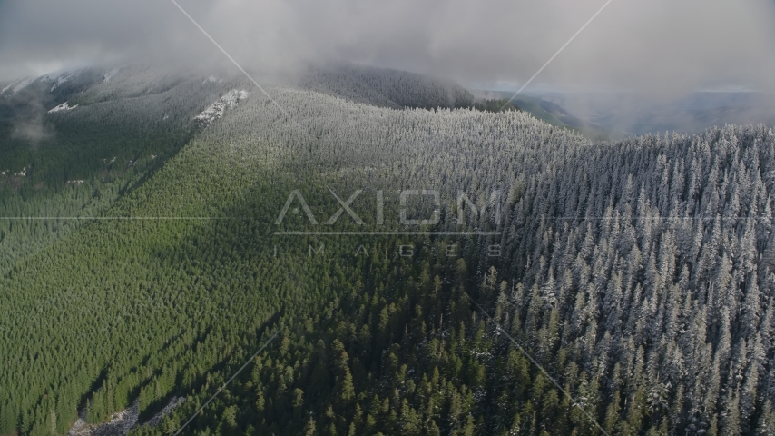 Snow line on evergreen trees atop a mountain ridge, Cascade Range, Hood River County, Oregon Aerial Stock Photos AX154_059.0000074F | Axiom Images