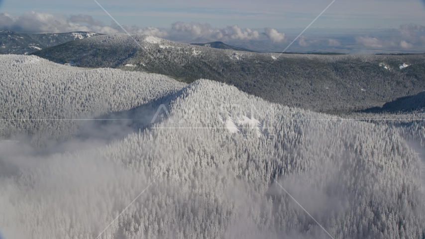 A snow covered mountain ridge and forest in the Cascade Range, Oregon Aerial Stock Photos AX154_100.0000000F
