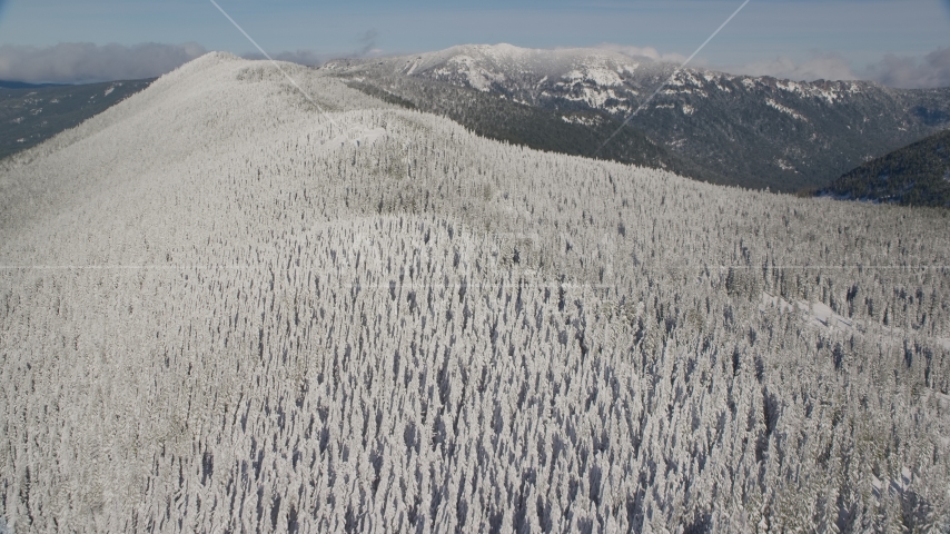 Forest on a snowy mountain ridge in the Cascade Range, Oregon Aerial Stock Photos AX154_102.0000220F