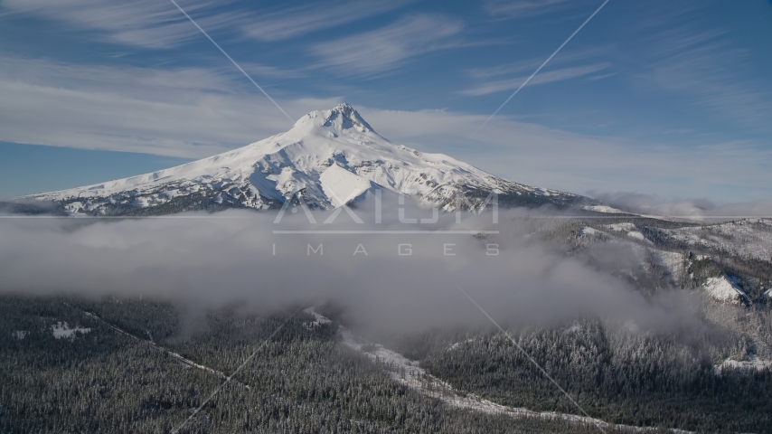 Low clouds over evergreen forest near the peak covered in snow, Mount Hood, Cascade Range, Oregon Aerial Stock Photos AX154_109.0000237F