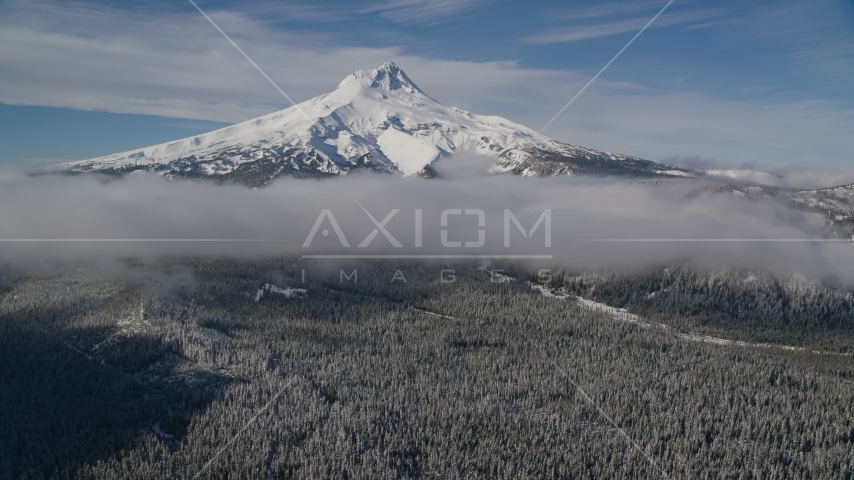 A snowy mountain peak, low clouds, and forest, Mount Hood, Cascade Range, Oregon Aerial Stock Photos AX154_118.0000335F
