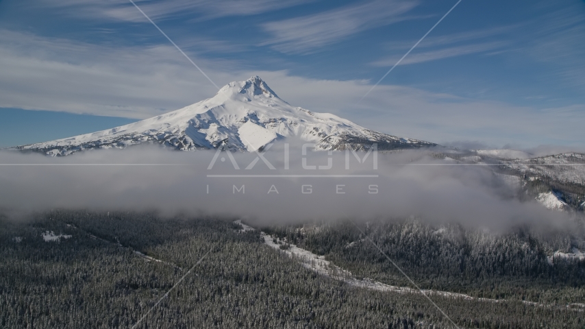 Snow-capped peak and low clouds over forest, Mount Hood, Cascade Range, Oregon Aerial Stock Photos AX154_119.0000258F