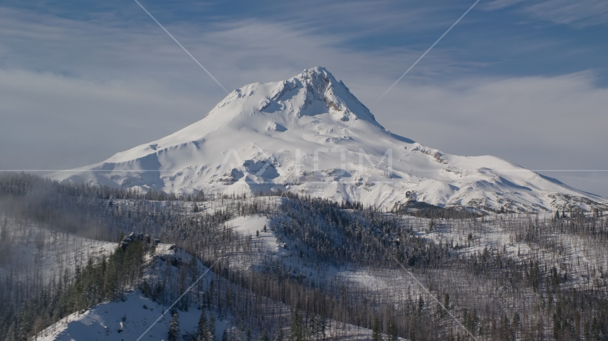 Mountain ridge with dead trees in the foreground near Mount Hood, Cascade Range, Oregon Aerial Stock Photos AX154_122.0000000F