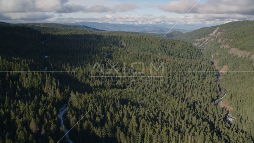 A canyon and evergreen forest near Highway 35, Cascade Range, Hood River Valley, Oregon Aerial Stock Photos AX154_127.0000170F