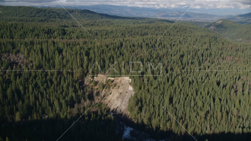 An evergreen forest in the Cascade Range, Hood River Valley, Oregon Aerial Stock Photos AX154_129.0000284F
