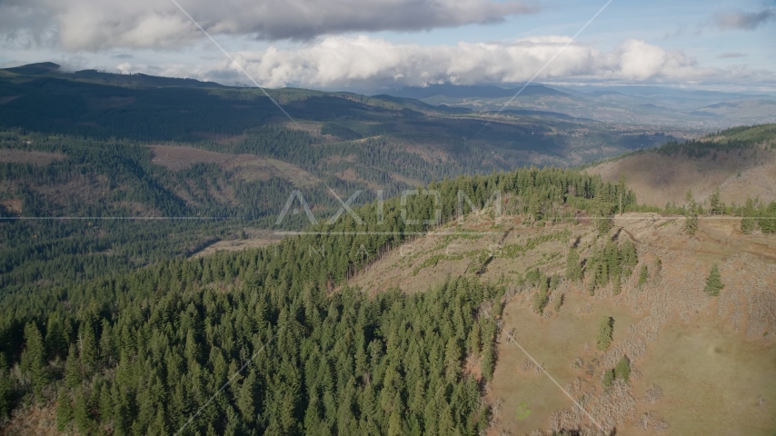Evergreen forest and logging areas, Dee, Oregon Aerial Stock Photos AX154_146.0000383F
