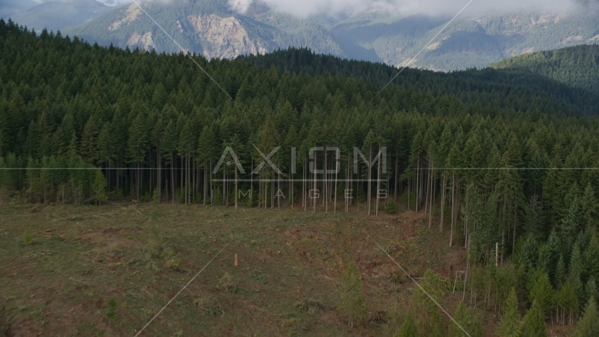 The edge of evergreen forest and a clear cut area in Hood River, Oregon Aerial Stock Photos AX154_151.0000000F