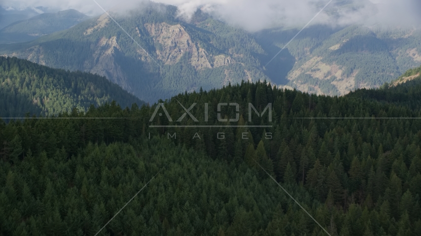 Evergreen forest and distant mountains, Hood River, Oregon Aerial Stock Photos AX154_151.0000272F
