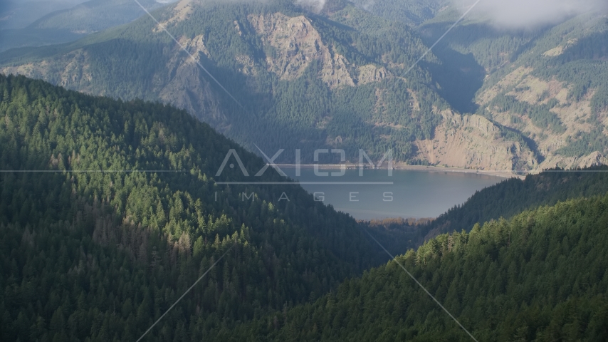 The Columbia River Gorge and evergreen forest mountains, Hood River, Columbia River Gorge, Oregon Aerial Stock Photos AX154_152.0000192F