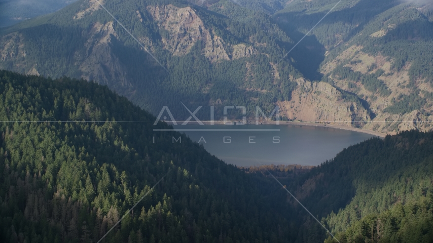 Forest on the Oregon bank of the Columbia River Gorge, Hood River Aerial Stock Photos AX154_152.0000335F