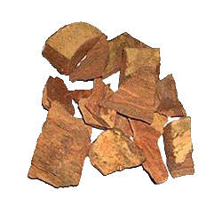 Arjun' Extract