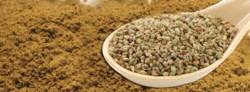 Ajwain's Powder