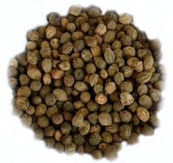 Ankol's Raw Herb