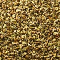 Ajwain's Raw Herb