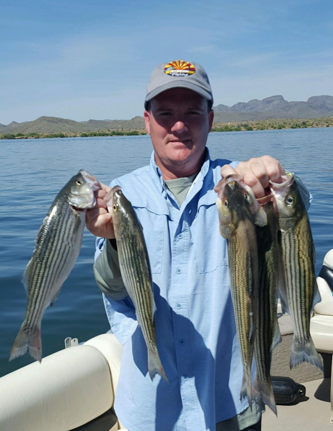 arizona bass tournament schedule on Azgfd