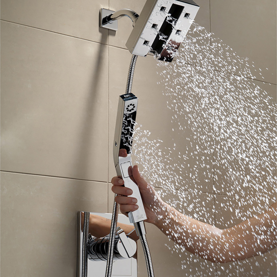 Bath4All Delta 58470SS In2ition 2in1 Shower Head and
