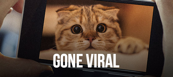 Breitbart Latest news