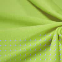 Neon Lime High Waisted Palazzo Pants Swatch