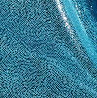 Holographic Hawaii Baby Blue Short Arm Sleeve