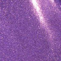 Holographic Lavender Baby Pink Short Arm Sleeve