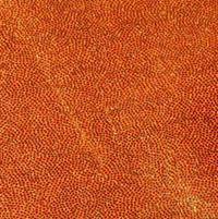 Holographic Persimmon Copper Short Arm Sleeve