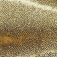 Holographic Gold Gold Short V Glove