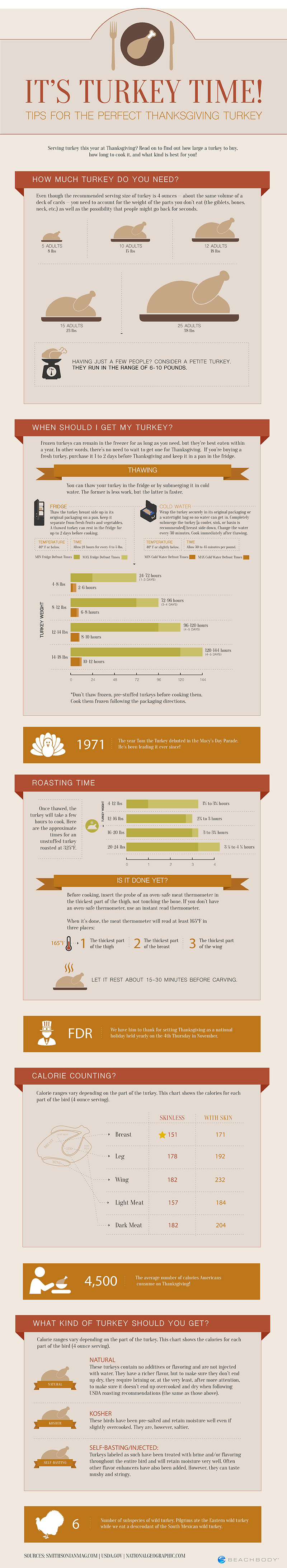 Thanksgiving Planning Guide Infographic