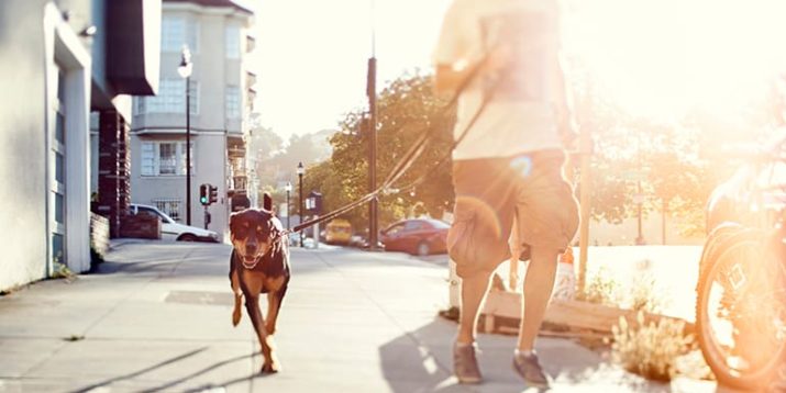 14 Unique Ways to Get Your 10,000 Steps In