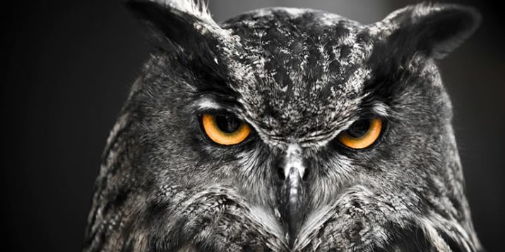 6 Things Only Night Owls Will Understand