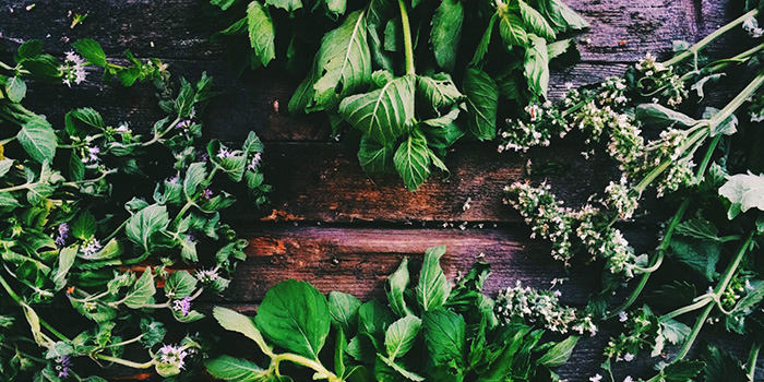 The Benefits of 7 Common Herbs