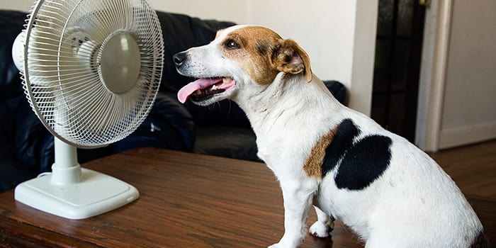 6 Budget-Friendly Ways to Cool Off This Summer