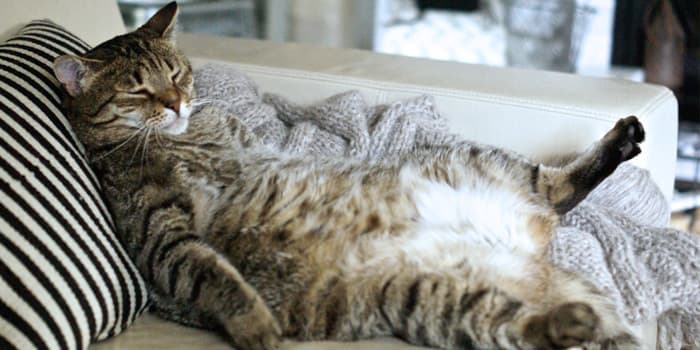 10 Ways You Can Feel Less Bloated