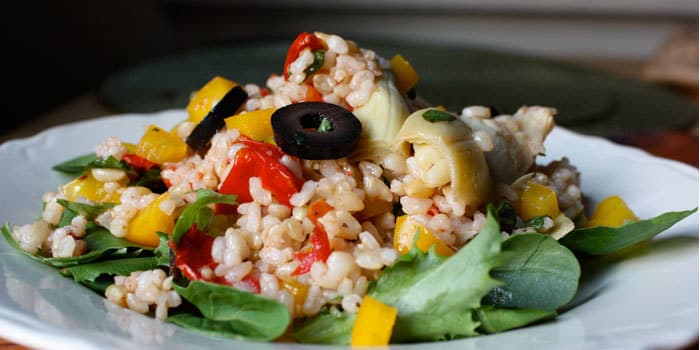 Brown Rice With Garlic and Sun-Dried Tomatoes