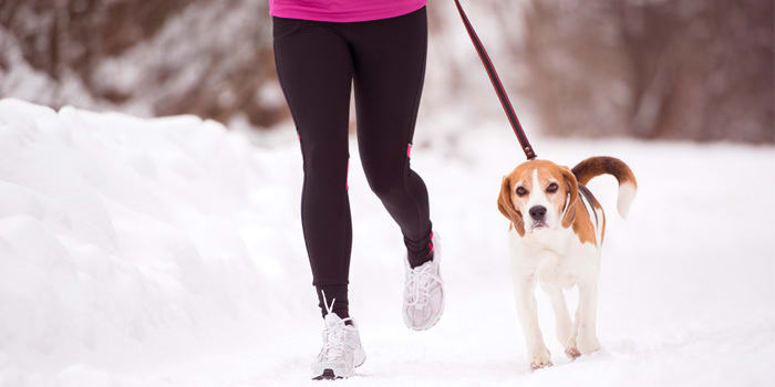 Daily Exercise Offsets Effects of Holiday Gorging, Study Says