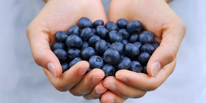 7 Foods That Make You Smarter