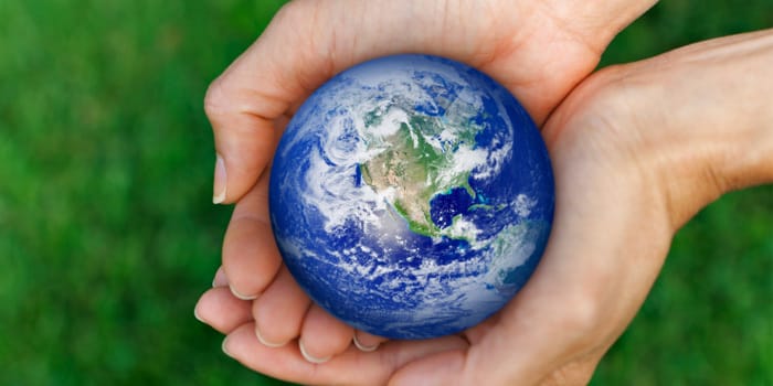 26 Easy Ways to Go Green