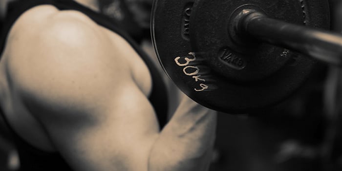 Ask the Expert: How Can I Bulk Up?