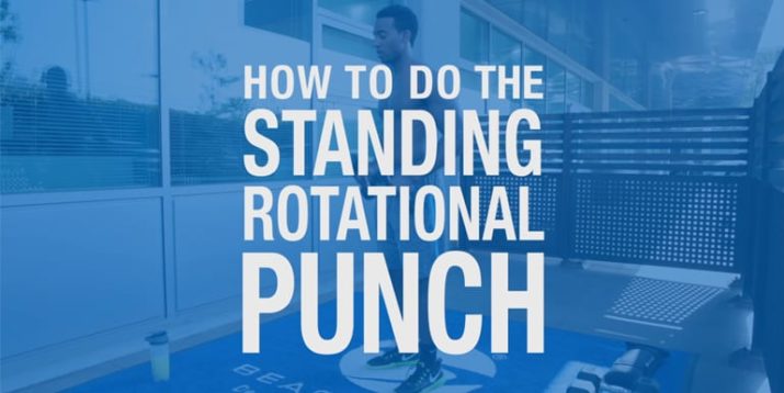 How To Do the Standing Rotational Punch