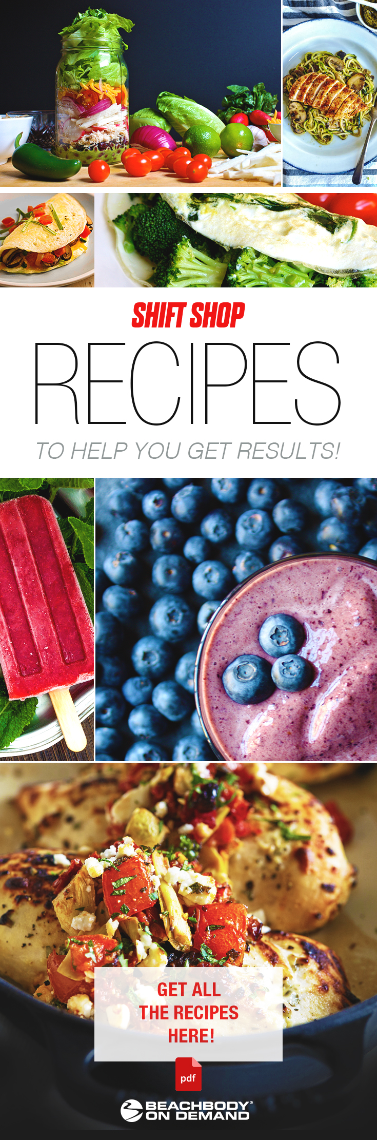 the shredded chef pdf