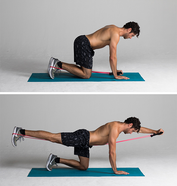 Best Ab Exercises - Band-Resisted Bird Dog