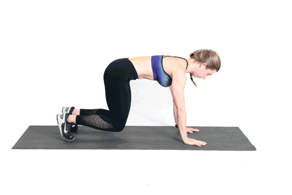 oblique crunch oblique crunches bear crunch