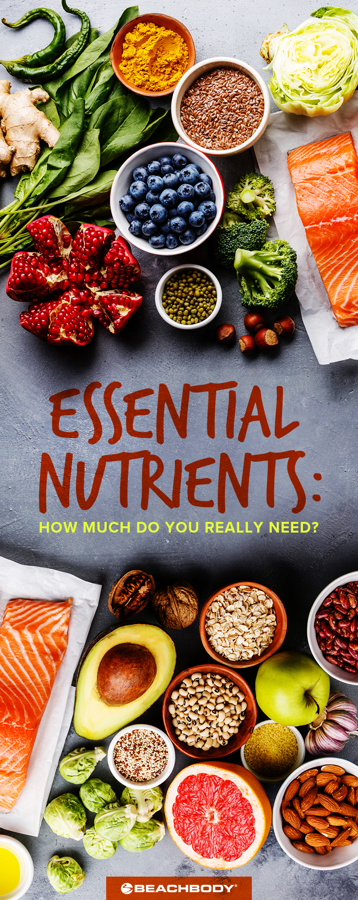 essential nutrients how much do you really need celebrating lifes essential nutriants
