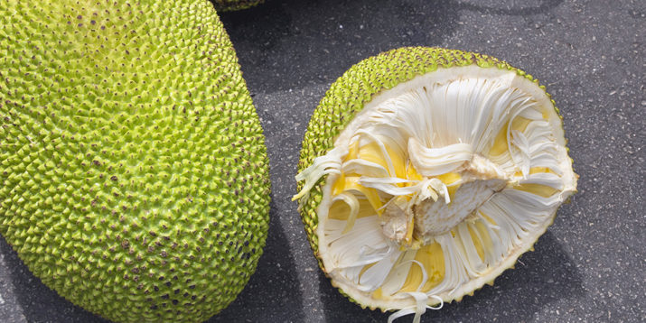 What in the World Is Jackfruit?