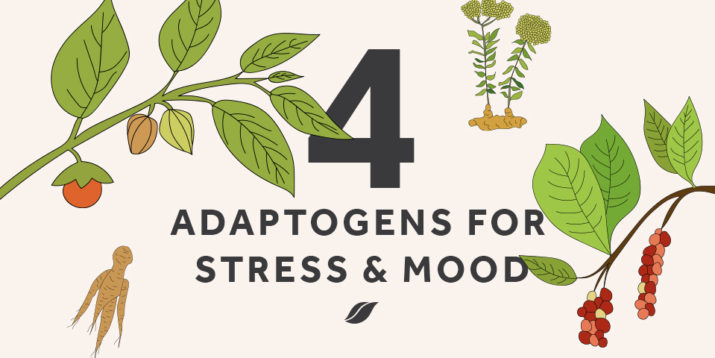 Beginner’s Guide to Adaptogens