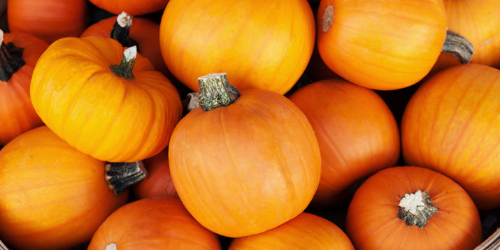 13 Unusual and Fun Facts About Pumpkins