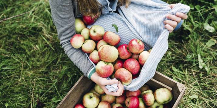 17 Foods That Should Be on Your Fall Grocery List